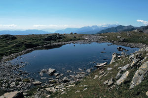 Brizner Alpe