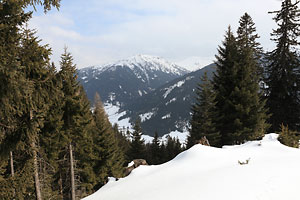 Niederer Berg