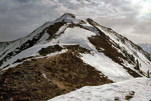 Schwarzkogel-Gipfel