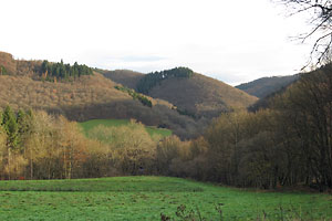 Neumllersberg